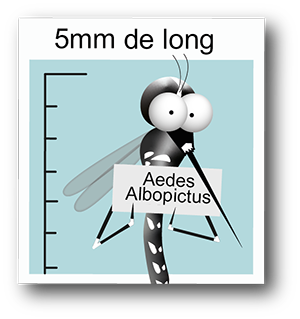 Moustique_Wanted_Droit_0.png